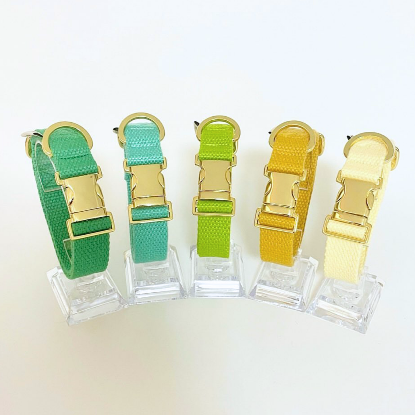palette collar〈ソフト&クリア〉