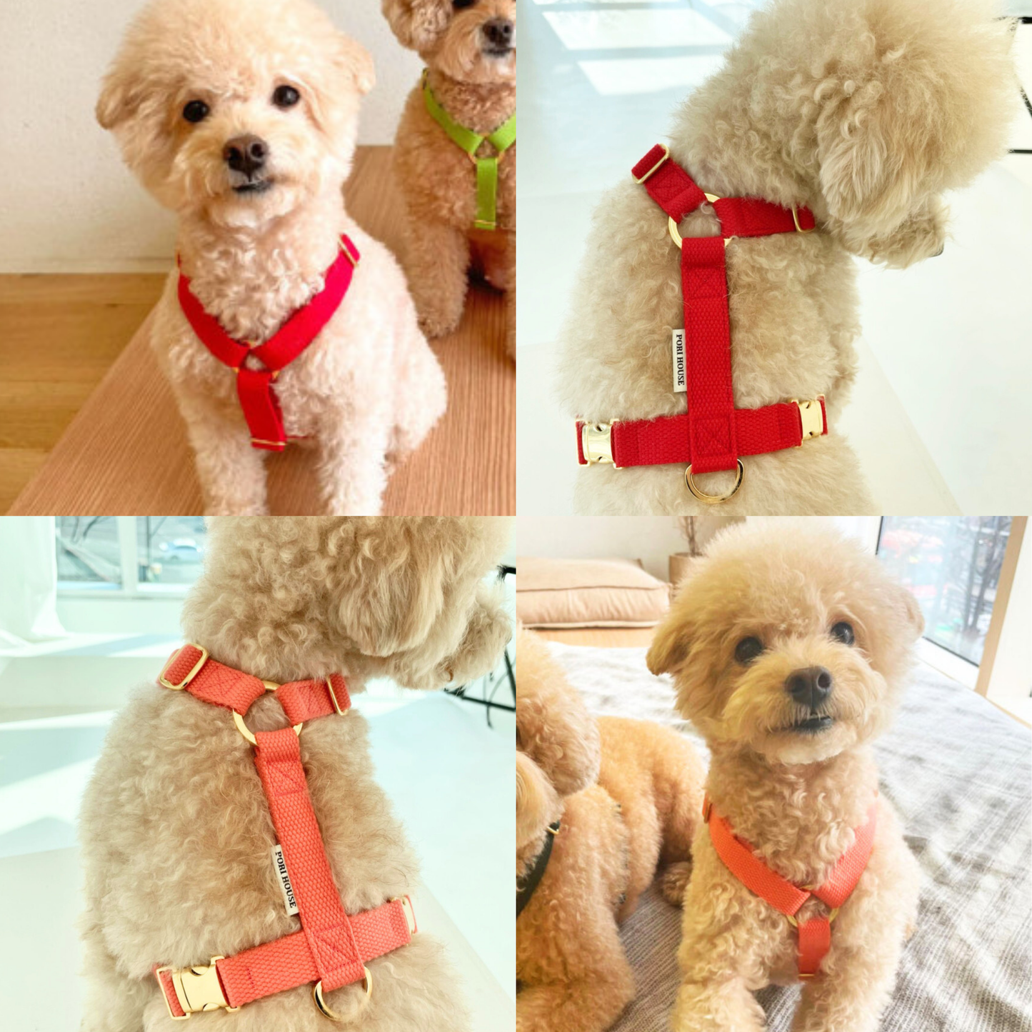 palette harness〈ソフト&クリア〉