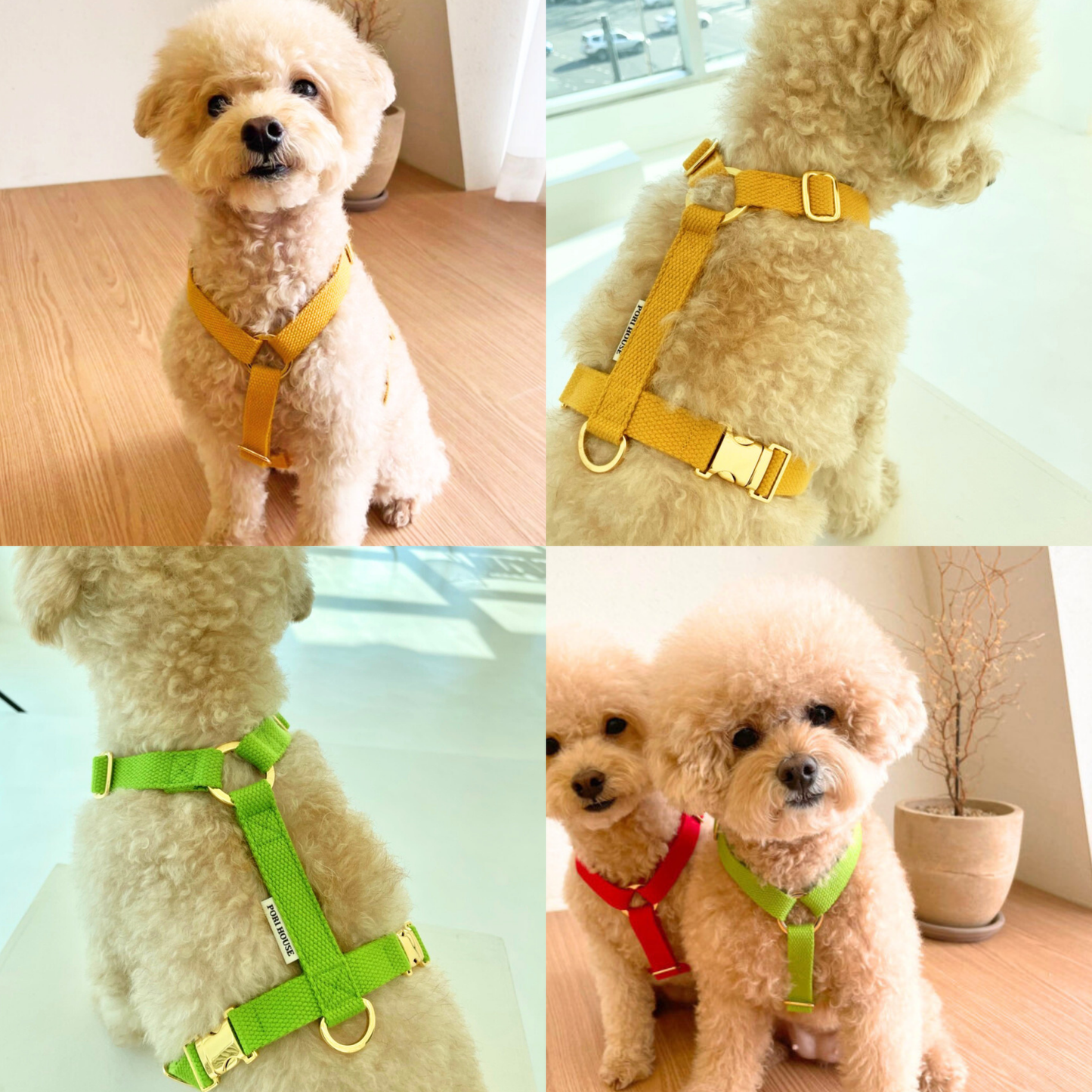 palette harness〈ソフト&クリア〉