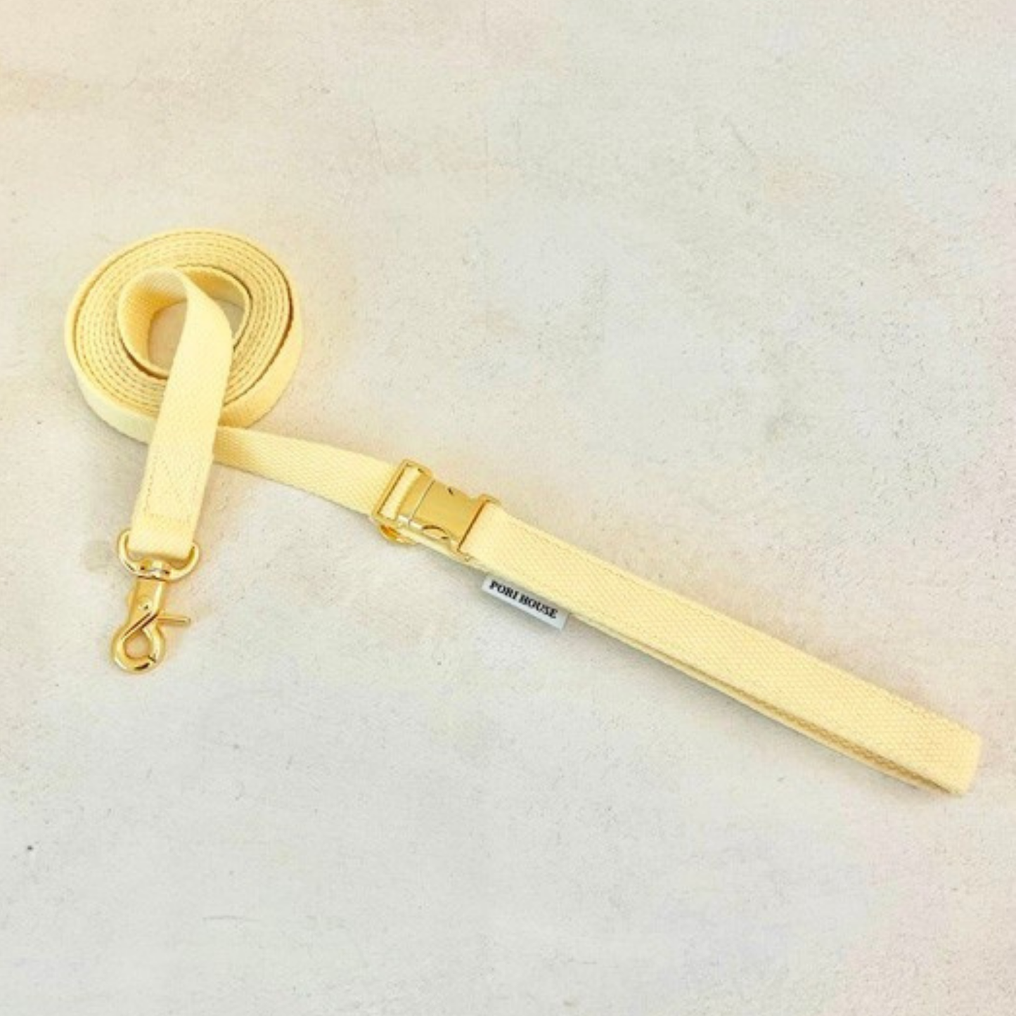 palette leash〈グリーン・ベーシック系〉