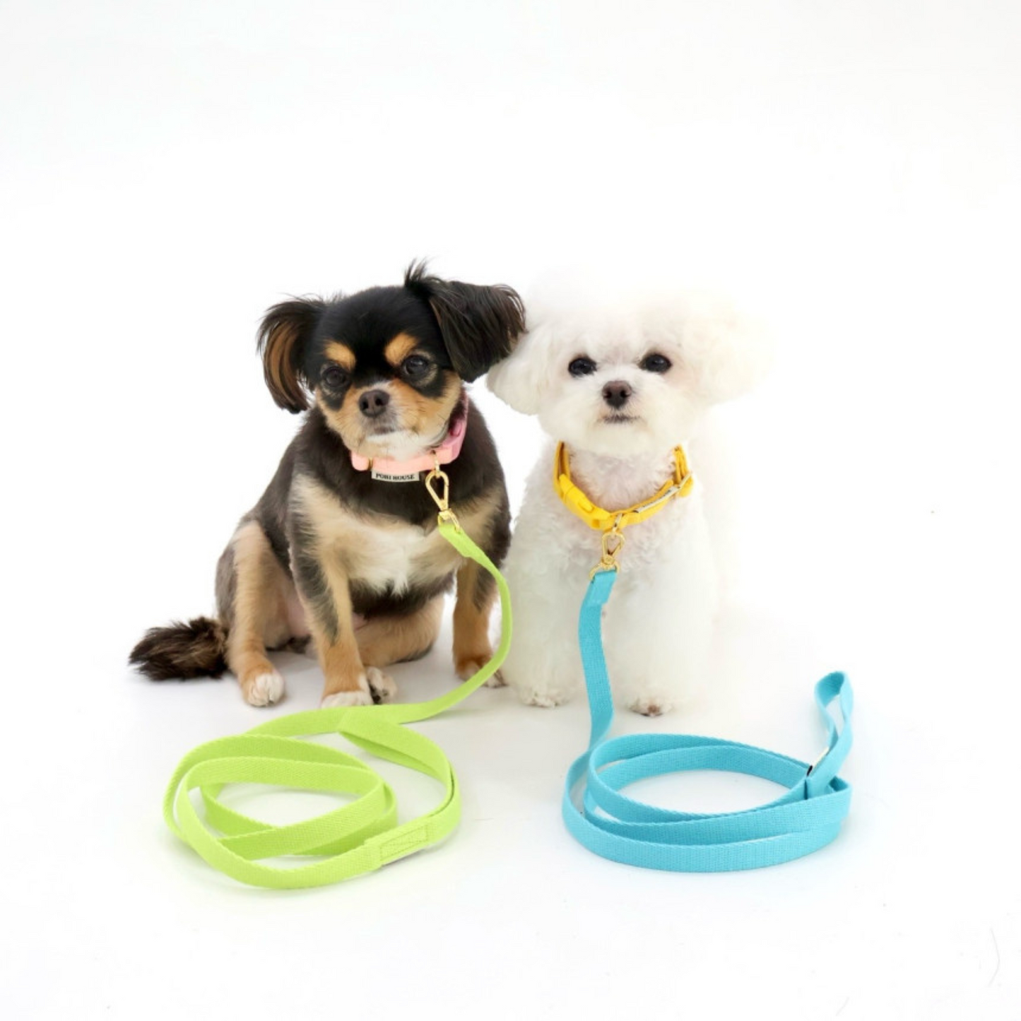 petit leash
