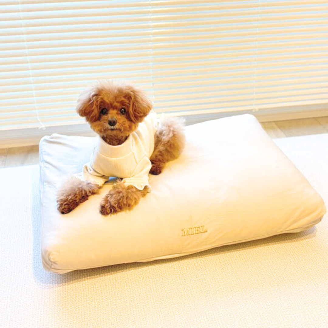ofuton bed お名前刺繍オプション