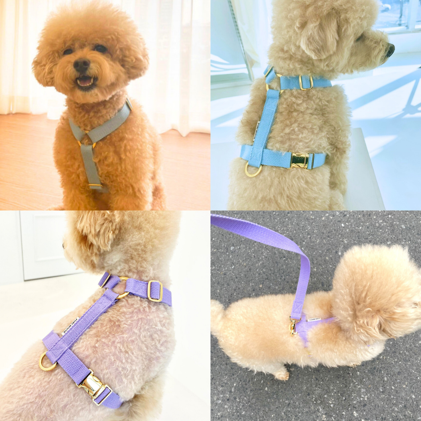 palette harness〈ソフト&クリア〉