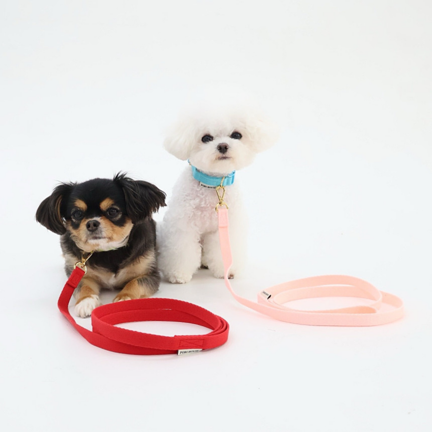 petit leash