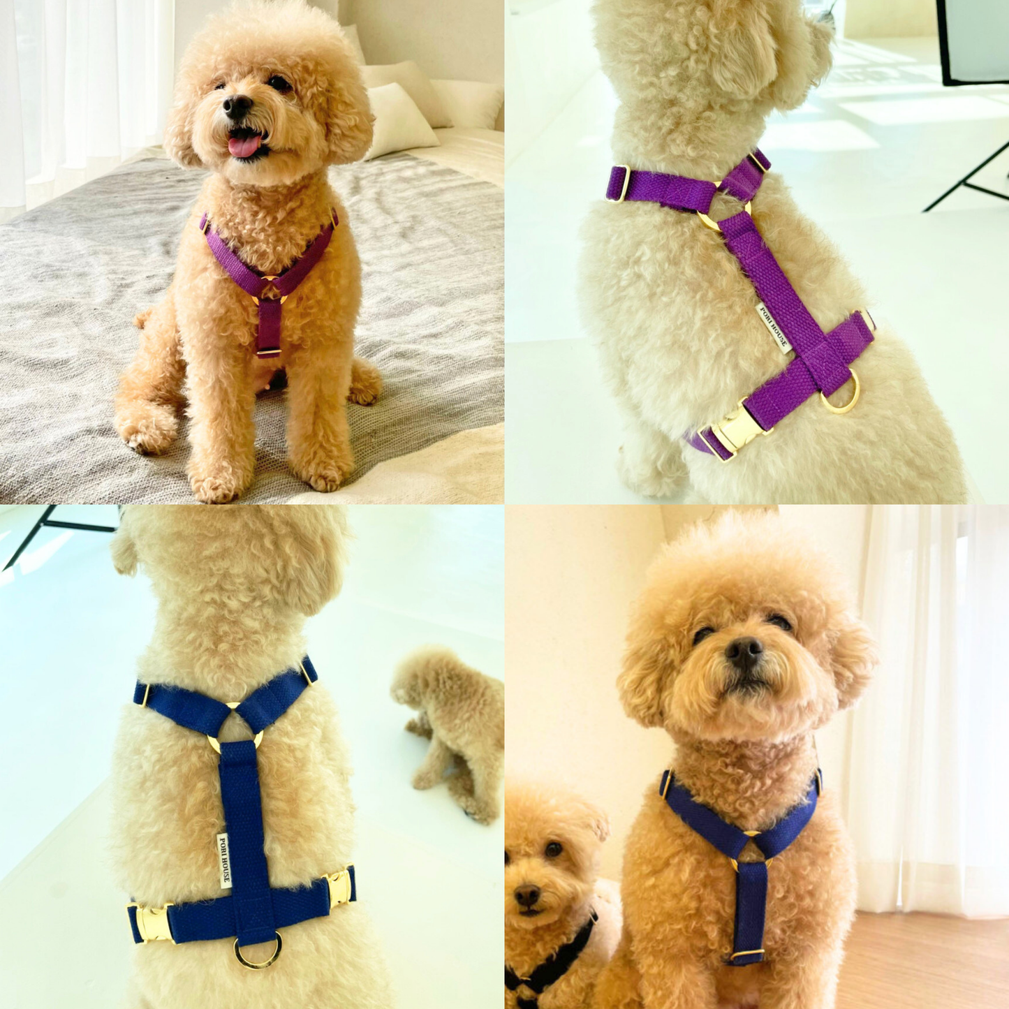 palette harness〈ソフト&クリア〉