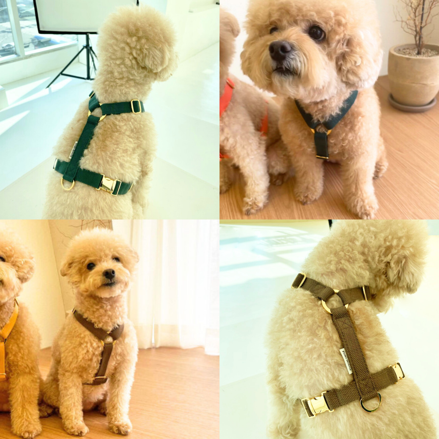 palette harness〈ソフト&クリア〉