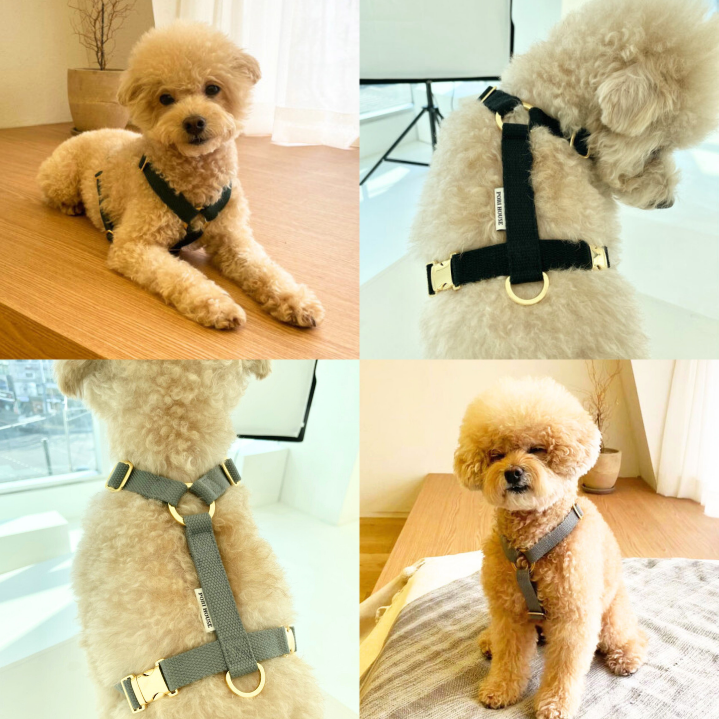 palette harness〈ソフト&クリア〉
