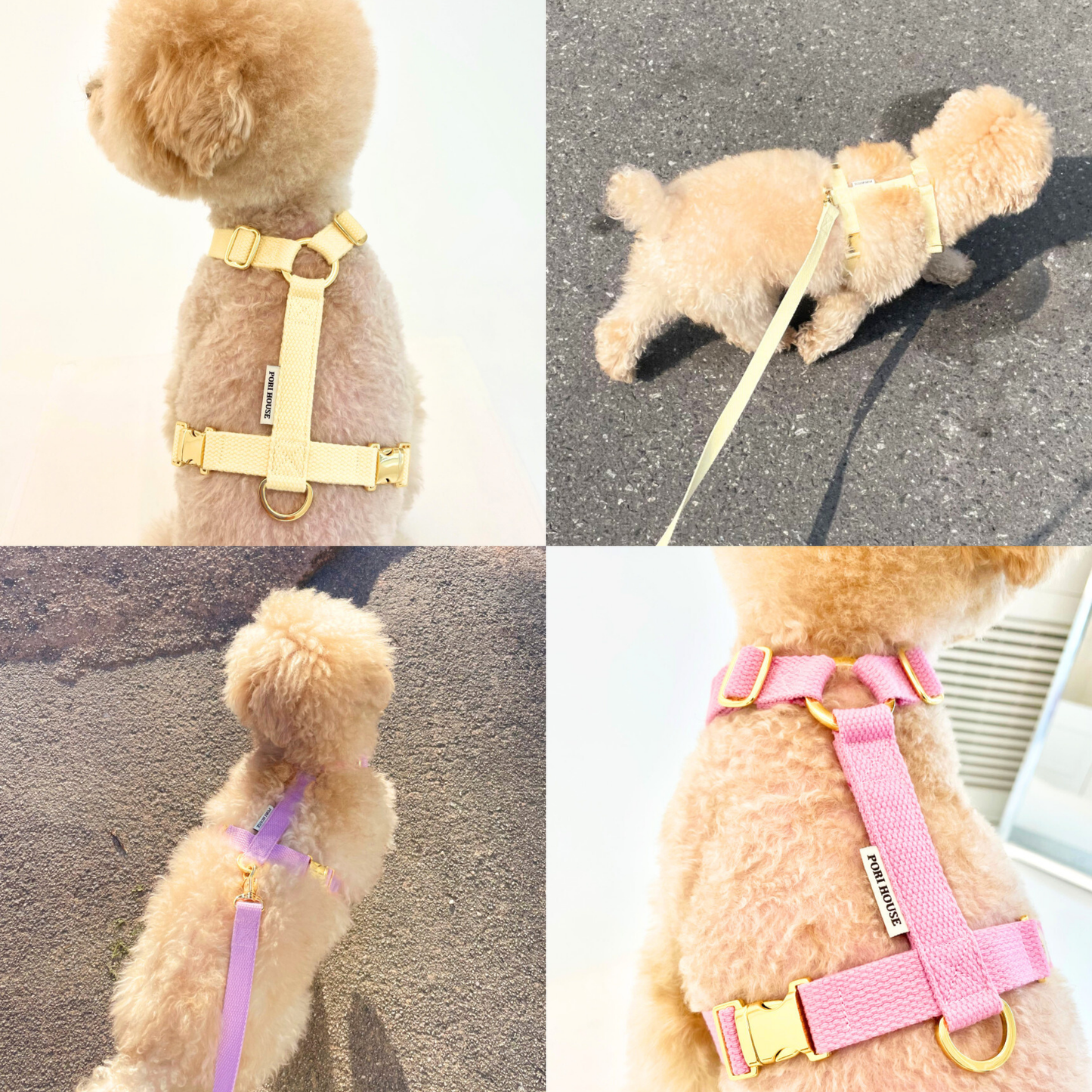 palette harness〈ソフト&クリア〉