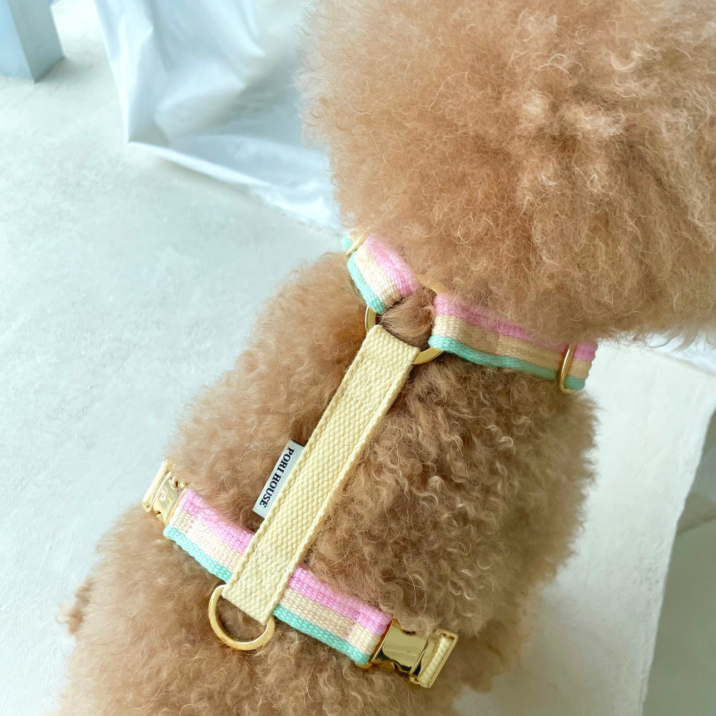 sweety harness
