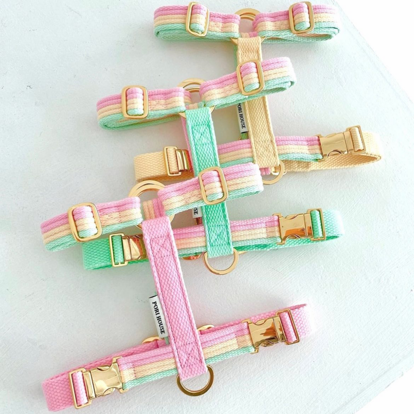 sweety harness