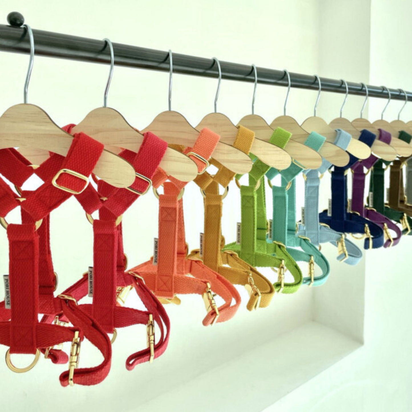 palette harness〈ソフト&クリア〉