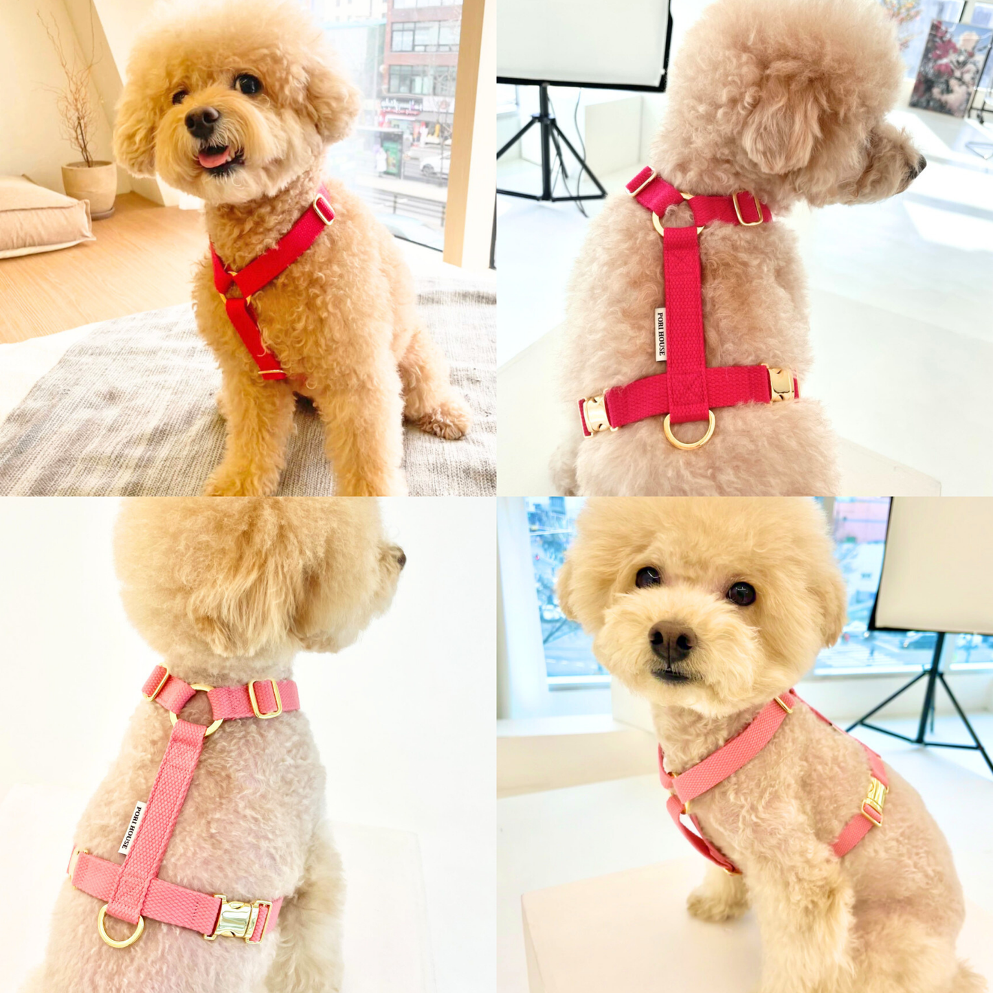palette harness〈ソフト&クリア〉