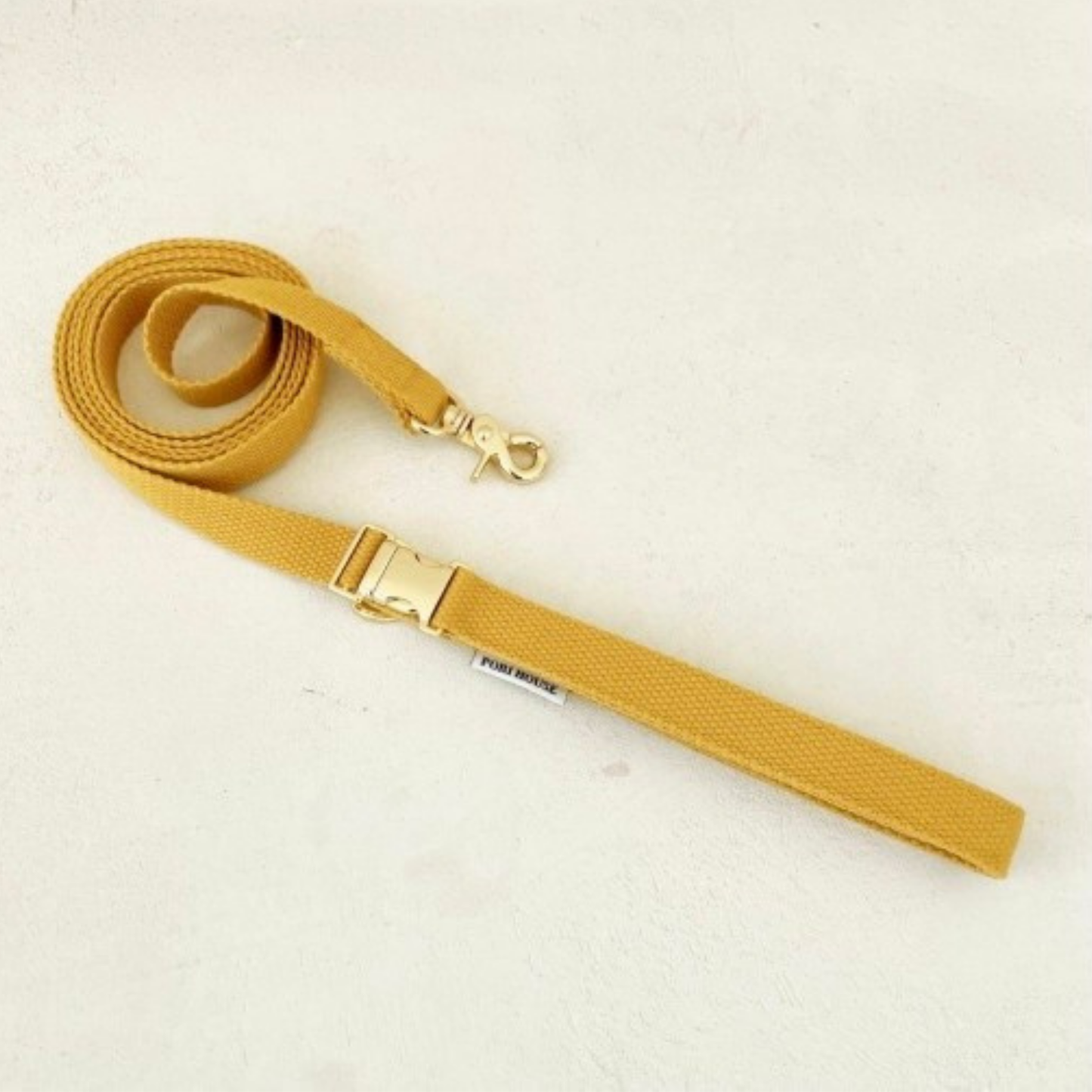 palette leash〈グリーン・ベーシック系〉