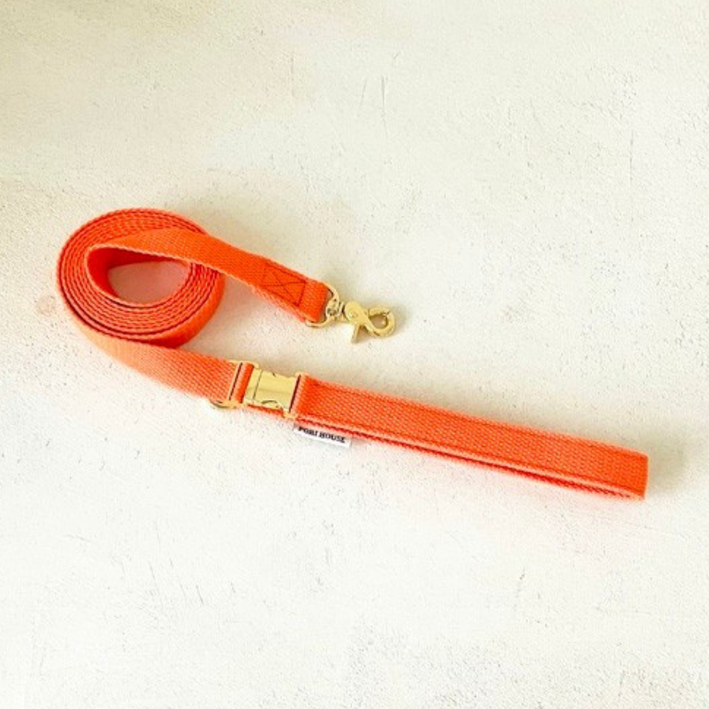 palette leash〈ウォーム〉