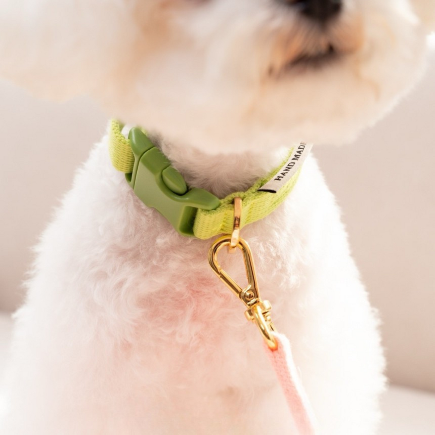 petit collar