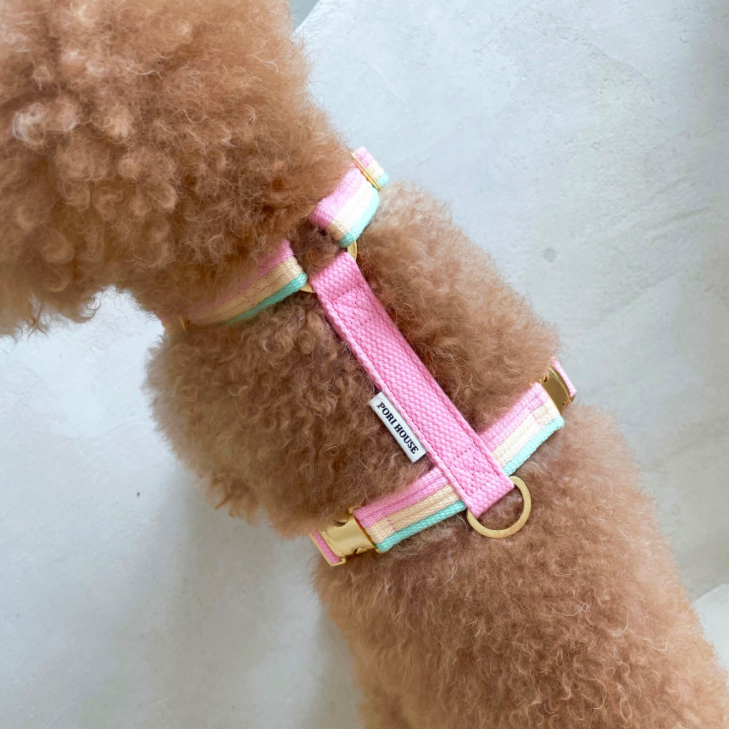sweety harness