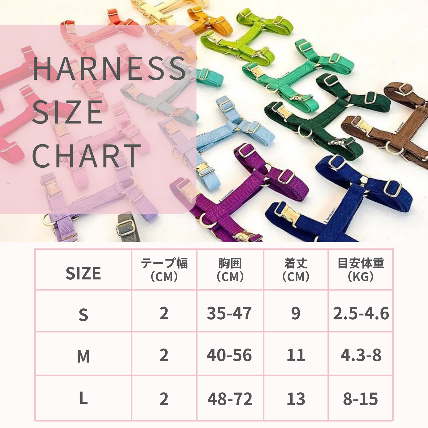 palette harness〈ソフト&クリア〉