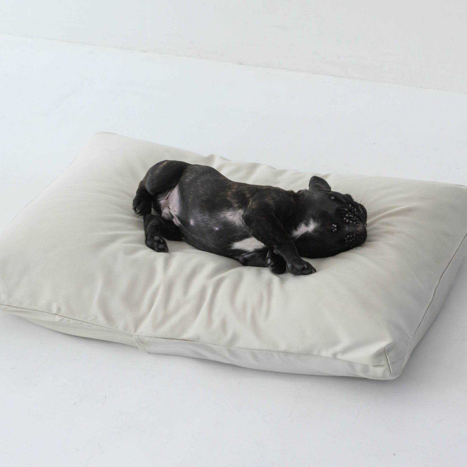 グレージュのペットベッドで気持ちよさそうに眠るペット、ふわふわの寝心地でリラックス