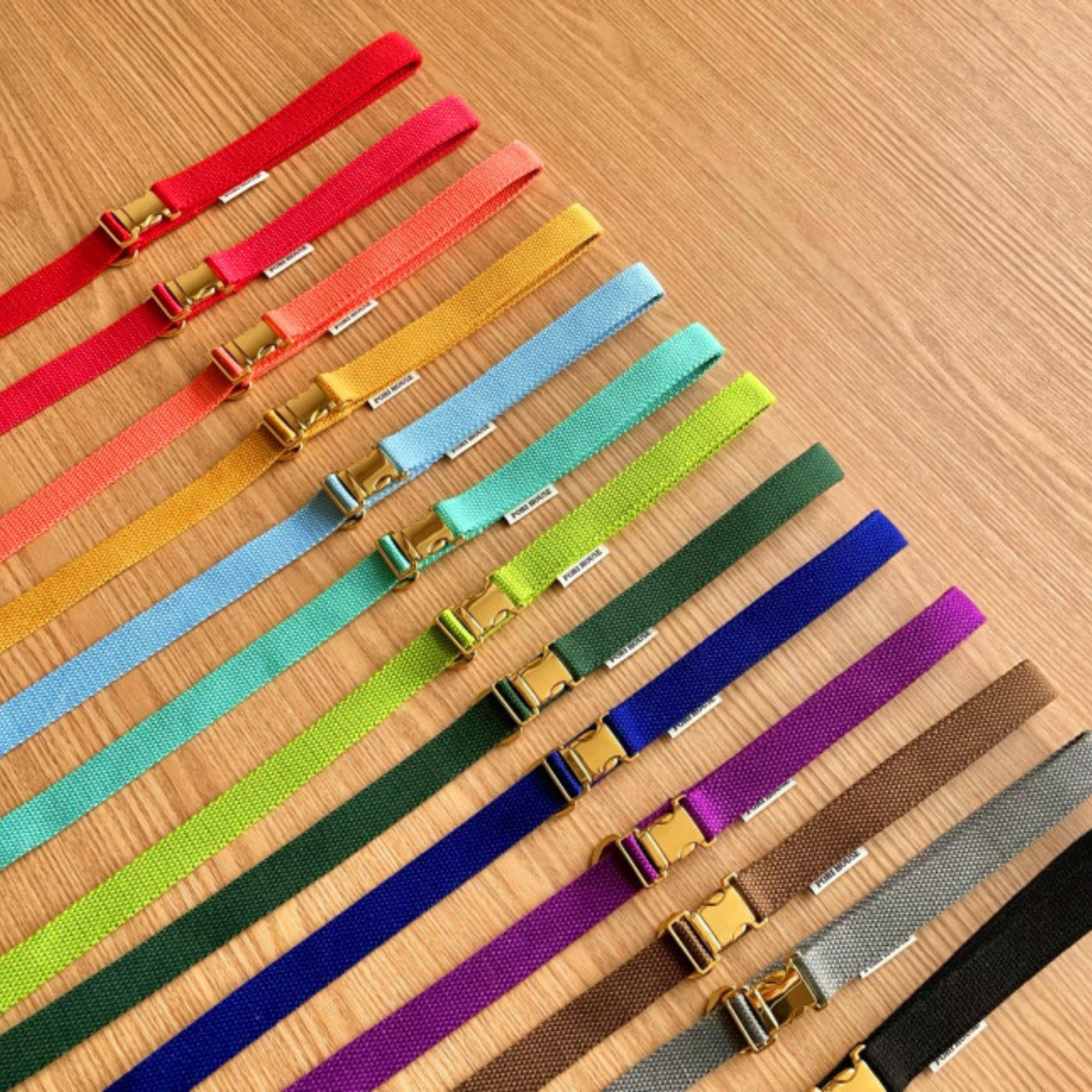 palette leash〈グリーン・ベーシック系〉