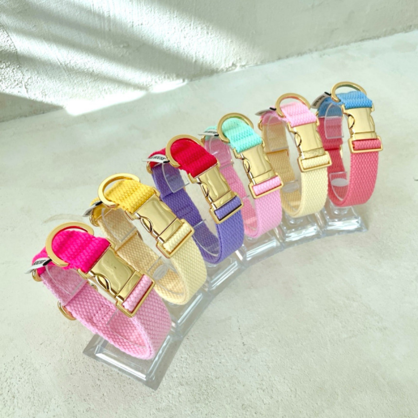 palette collar〈ツートーンB〉