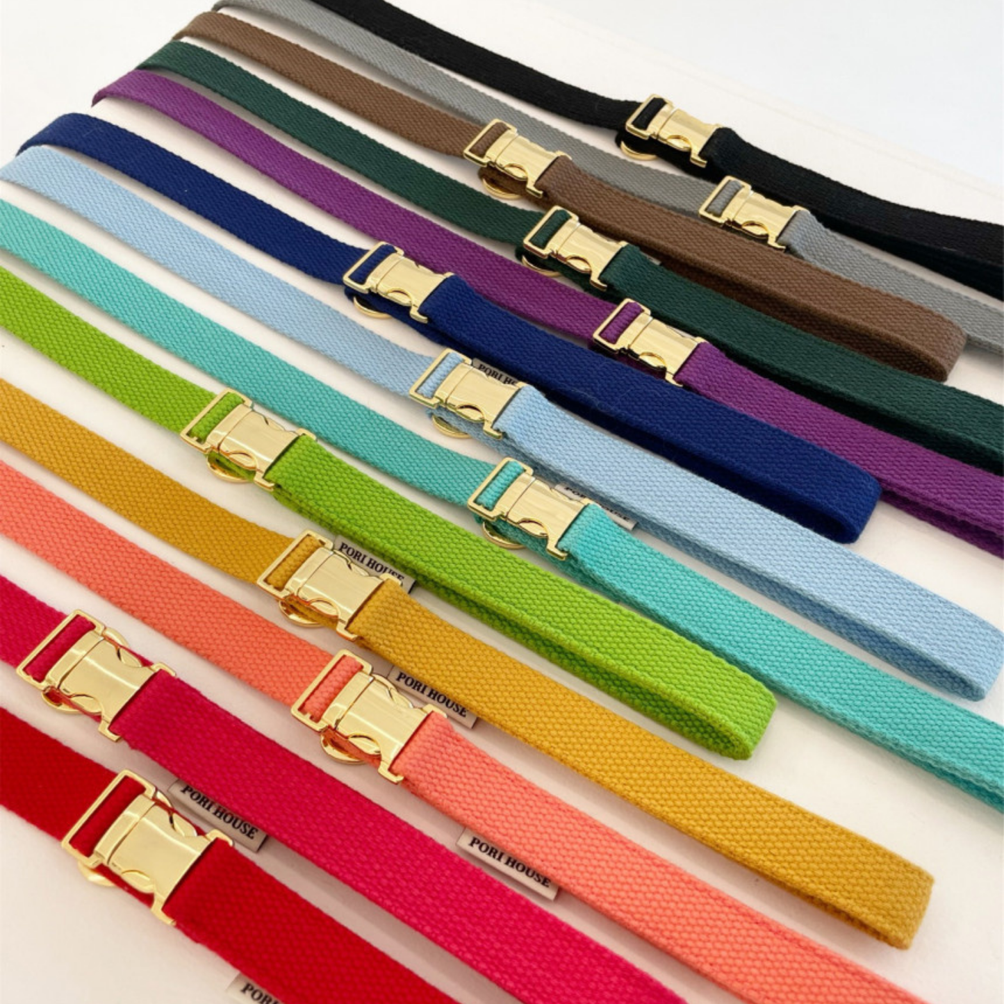 palette leash〈グリーン・ベーシック系〉