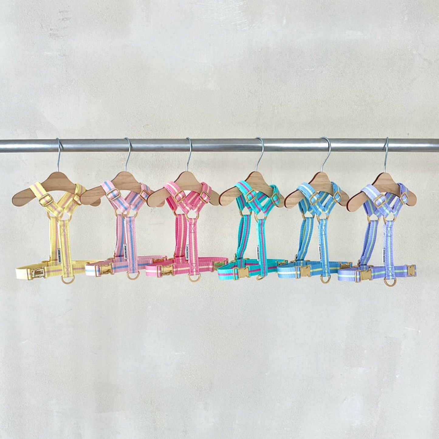 lollipop harness