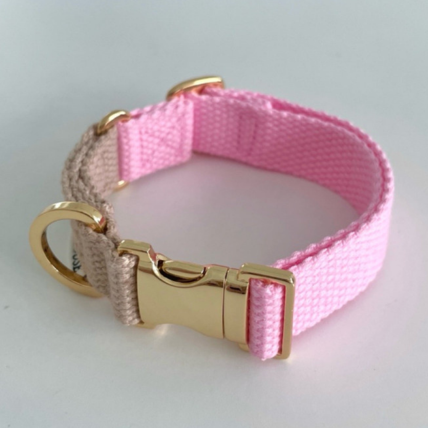 palette collar〈ツートーンA〉