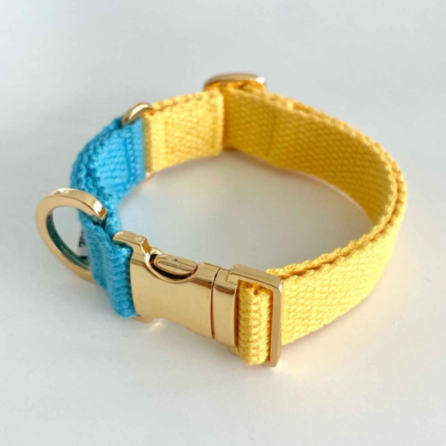 palette collar〈ツートーンA〉