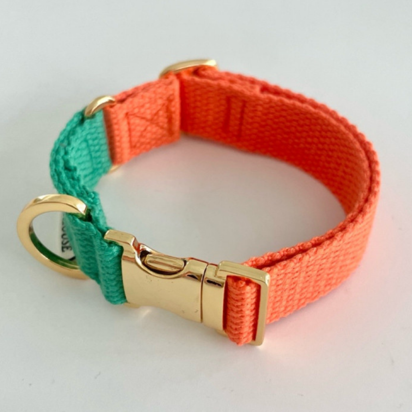 palette collar〈ツートーンB〉