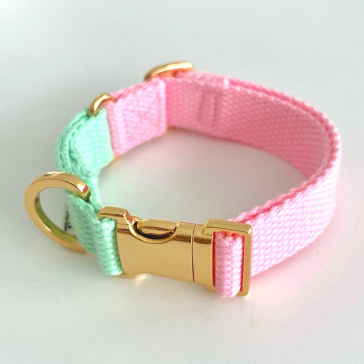 palette collar〈ツートーンB〉