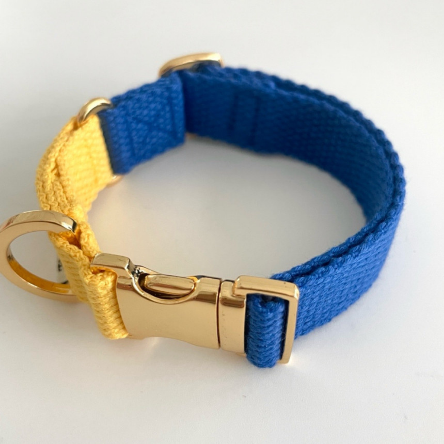 palette collar〈ツートーンB〉