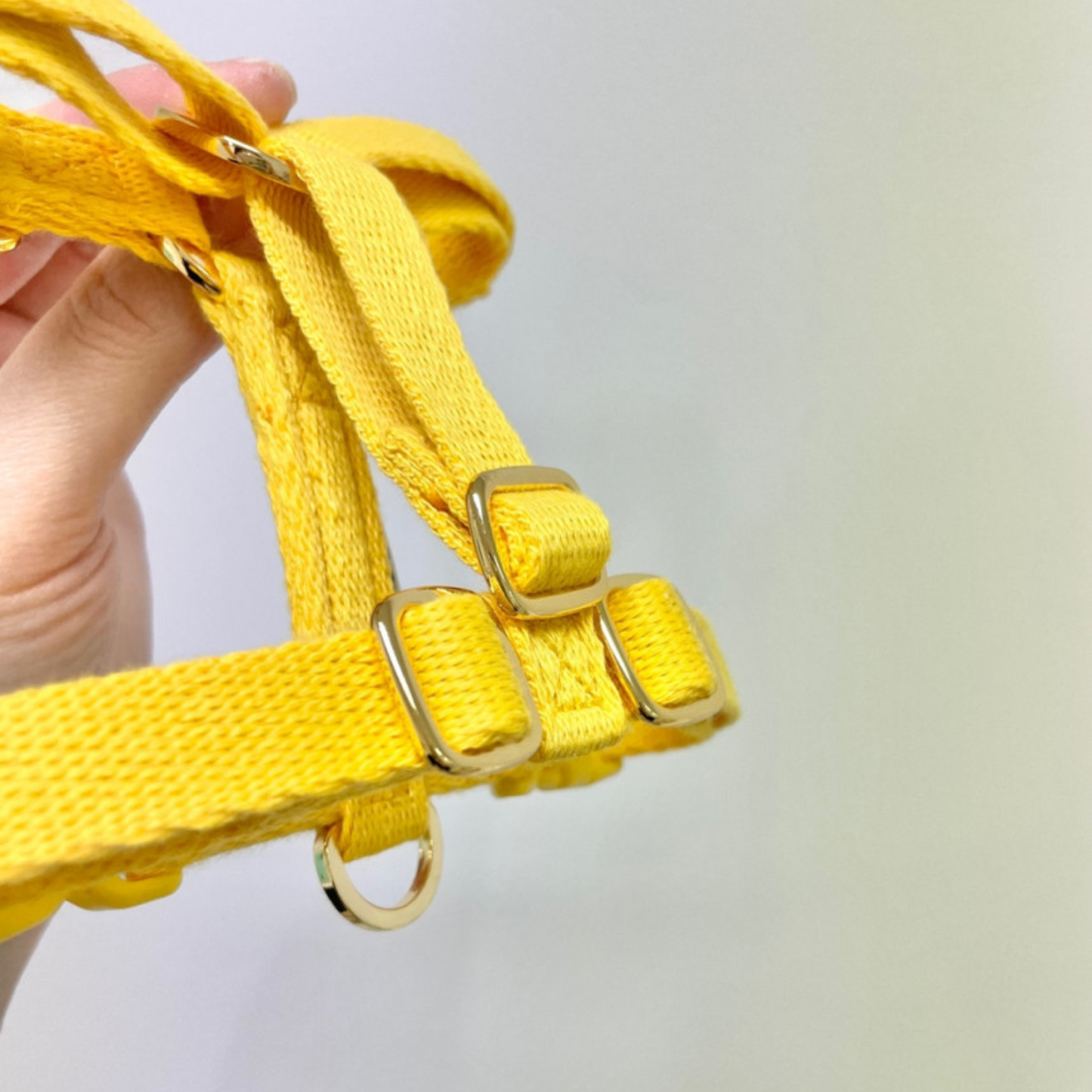 petit harness