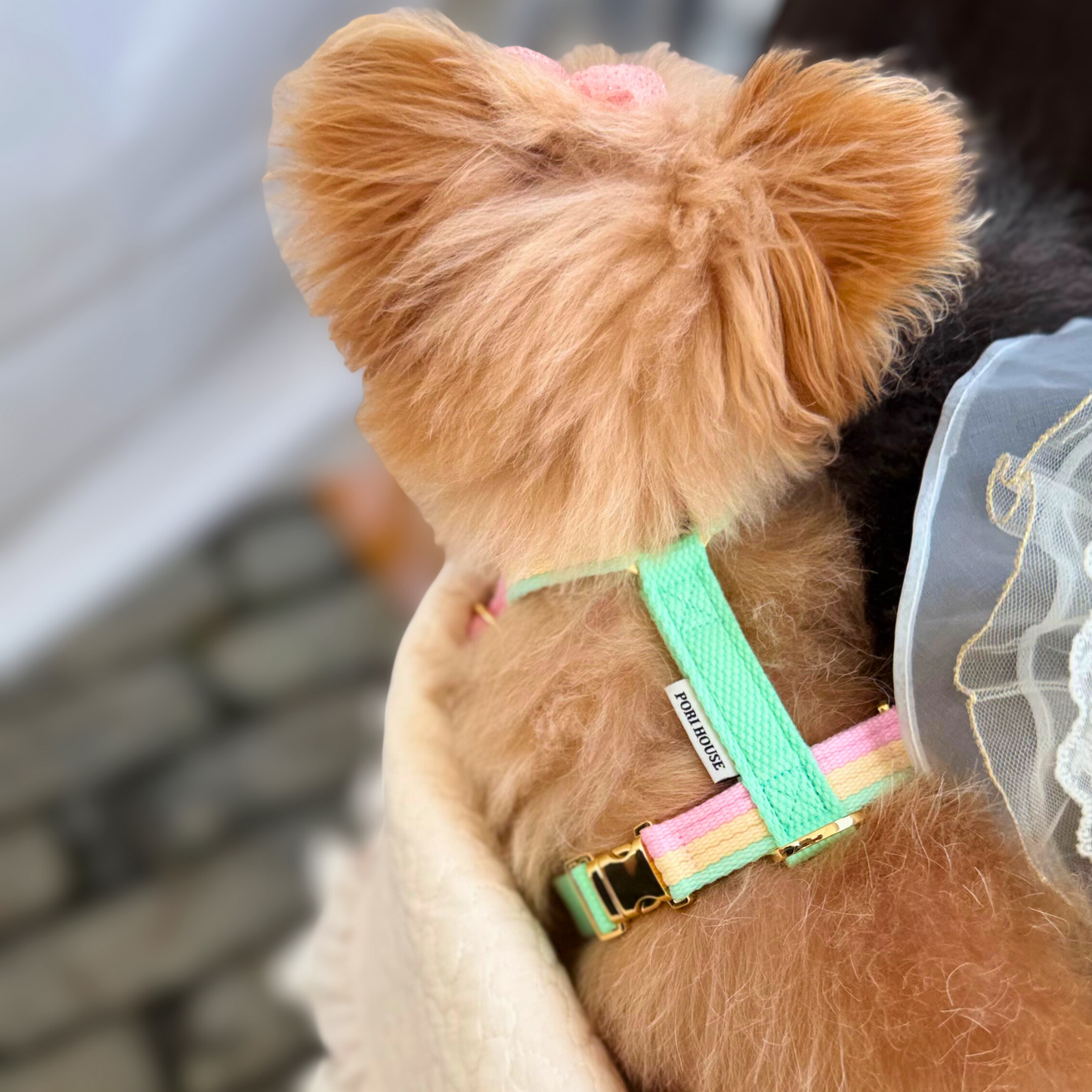 sweety harness