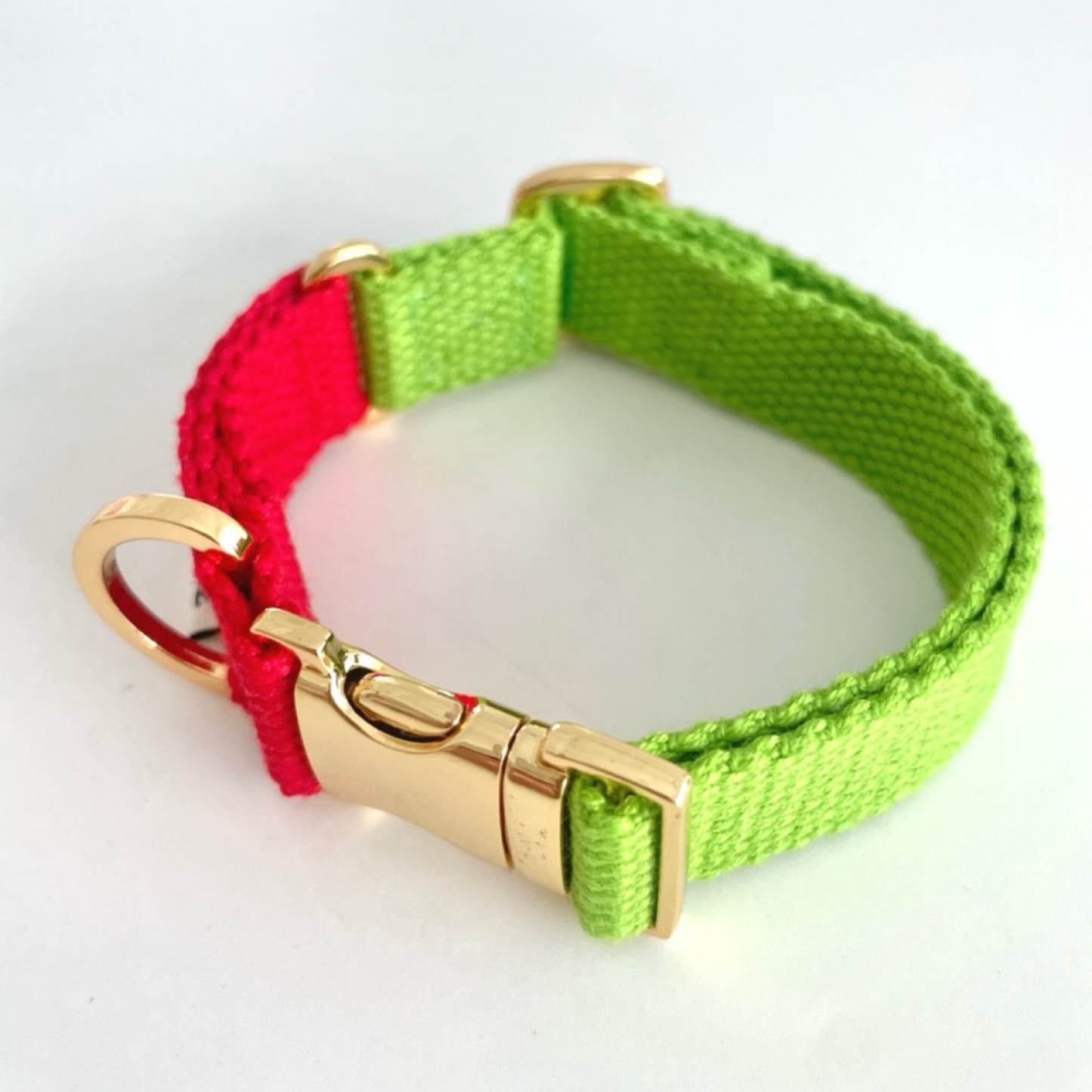 palette collar〈ツートーンB〉