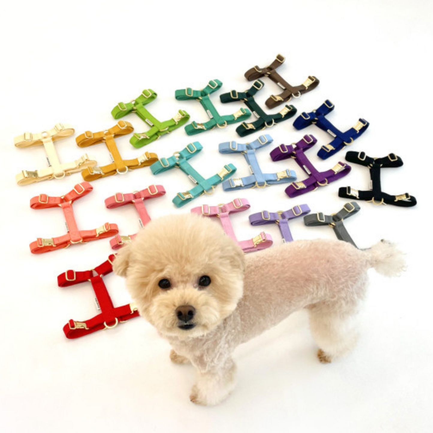 palette harness〈ソフト&クリア〉