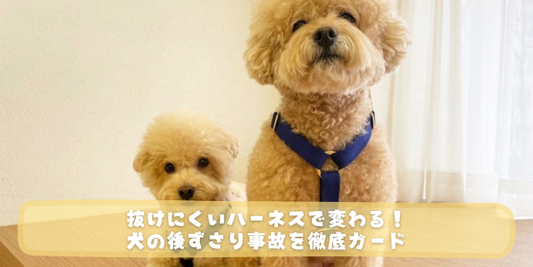 クリーム色と茶色の2匹のトイプードルの写真に、抜けにくいハーネスで変わる！犬の後ずさり事故を徹底ガード、という文字が入ったコラム紹介バナー画像。