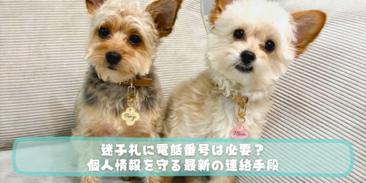 ヨークシャー・テリアと白い小型犬が並んで座っている写真に、今回の記事タイトル「迷子札に電話番号は必要？個人情報を守る最新の連絡手段」という文字が入ったアイキャッチ画像。