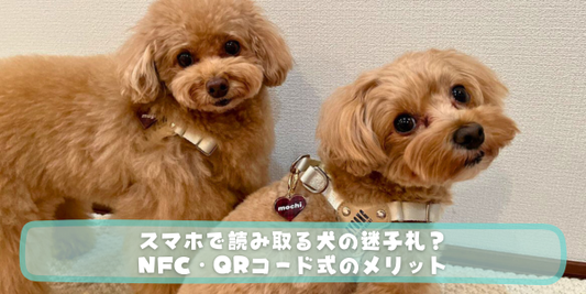 「スマホで読み取る犬の迷子札？ NFC・QRコード式のメリット」というタイトルが入った、2匹の小型犬が並ぶブログ・コラム用のアイキャッチ画像。