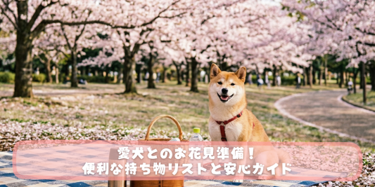 桜並木の公園でレジャーシートを広げ、バスケットの隣に座る柴犬のバナー画像。中央に「愛犬とのお花見準備！便利な持ち物リストと安心ガイド」というタイトルテキストが重なっている。