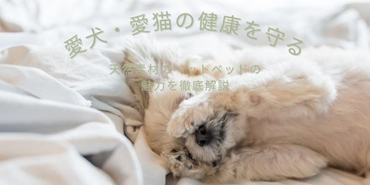 天然素材のペットベッドは、敏感肌のペットに優しい素材選びが特徴です。自然な通気性と低アレルギー性により、ペットの健康をサポートします。