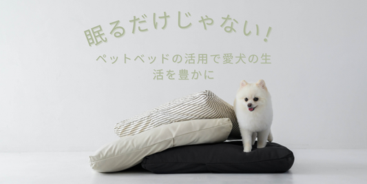 健康的な生活を送る犬
