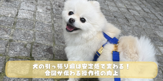 青いハーネスをつけた白いポメラニアンが笑顔で見上げる写真に、「犬の引っ張り癖は安定感で変わる！合図が伝わる操作性の向上」という文字が黄色い帯で重なっているアイキャッチ画像。