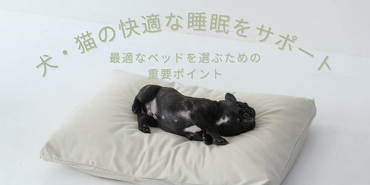 犬・猫の快適な睡眠をサポート！：最適なベッドを選ぶための重要ポイント