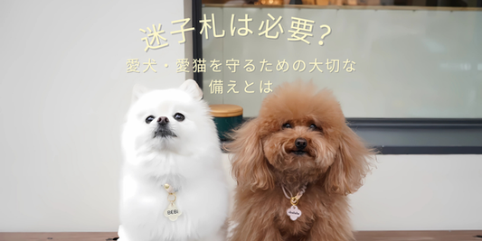 スマホをタッチするだけで連絡先がわかる omamori charm