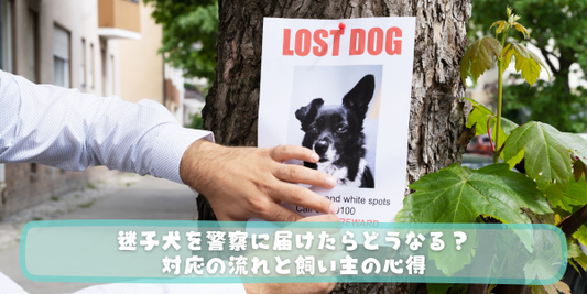街路樹に「LOST DOG」と書かれた白黒の迷子犬ポスターを画鋲で貼っている人の手元のアップ。画像下部には、白抜き文字で「迷子犬を警察に届けたらどうなる？対応の流れと飼い主の心得」という記事タイトルが入っている。
