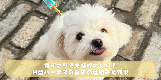後ずさりでも抜けにくい！H型ハーネスの驚きの仕組みと効果のタイトルが入ったブログアイキャッチ画像。