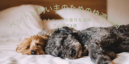 ふわふわのペットベッドで気持ちよさそうに眠る犬。安心感のあるデザインが快適な睡眠をサポート。