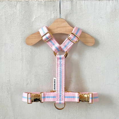lollipop harness