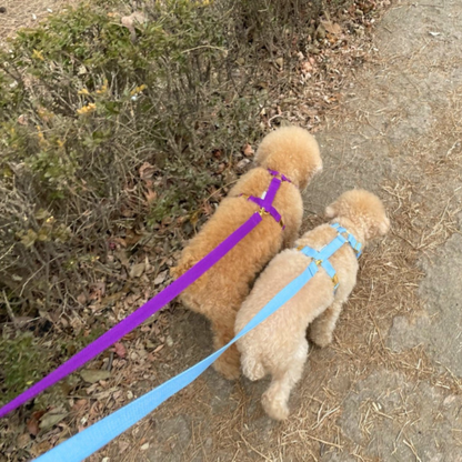 palette leash〈ブルー・パープル系〉