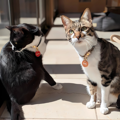 omamori charm – ラウンド〈ベーシックカラー〉